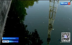 Эфир от 11.08.2026 (09:30)