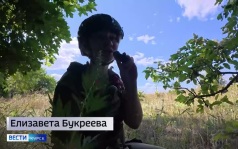 Штурмовики «Севера» продвигаются вглубь Сумской области из курского приграничья