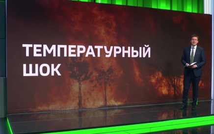Аномальная жара бьет по экономике ЕС