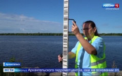 Вести Поморья в 11:30, эфир 12 августа 2026 г.