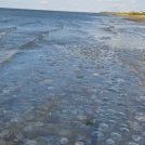 В Азовском море испытывают необычный способ защиты от медуз