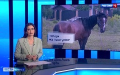 "Вести.Брянск"