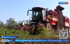 Эфир от 13.08.2026 (11:30)