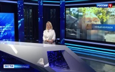 Эфир от 13.08.2026 (11:30)