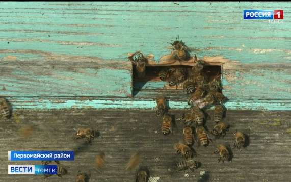 Эфир от 13.08.2026 (21:10)