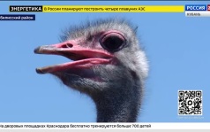 Эфир от 13.08.2026 (17:30)