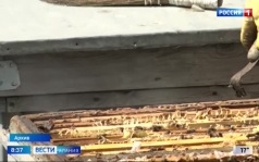Эфир от 14.08.2026