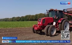 Эфир от 13.08.2026 (21:10)