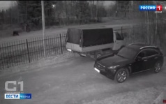 Количество сообщений о выходах медведей в населенные пункты республики заметно выросло