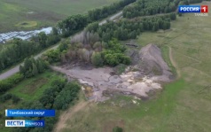 В Черняном массово гибнет рыба