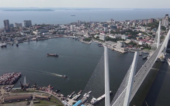 Приморские силовики вновь взялись за "Винни-Пуха"