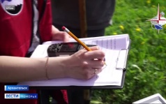 Вести Поморья в 9:30, эфир 17 августа 2026 г.