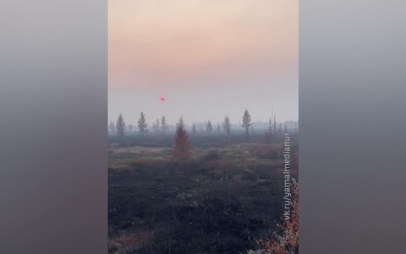 Лесные пожары на Ямале, извержение на Камчатке и паводки в регионах