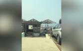 Масштабные лесные пожары охватили страны Европы
