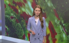 Эфир от 17.08.2026