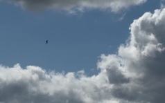 Новобранцы «БАРС-Курск» готовятся пополнить расчеты противовоздушной обороны и мобильно-огневых групп