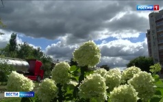 Жара в Тамбове будет кратковременной