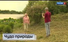 События недели 16.08.2026