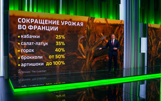 Жара в Европе грозит фермерам катастрофическим ущербом