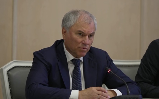 Президент Мьянмы и Вячеслав Володин обсудили развитие российско-мьянманских отношений