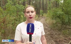 С 20 августа на территории Курской области вводится особый противопожарный режим из-за неблагоприятных погодных условий