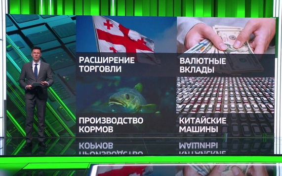 Торговый оборот между Грузией и Россией вырос более чем на 20 процентов