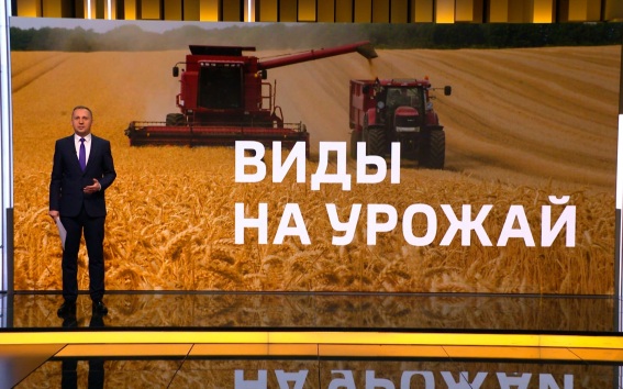 В ближайшее время сбор зерна в России достигнет 100 млн тонн