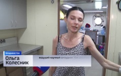 Российско-китайская экспедиция отправилась в Арктику изучать изменения климата