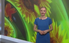 Эфир от 20.08.2026