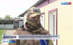 Сегодня в России отмечают День фронтовой собаки
