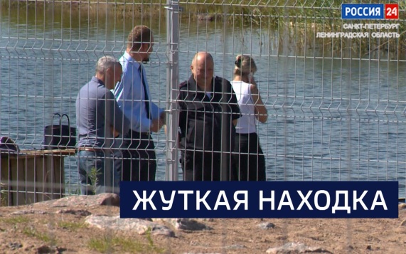 Эфир от 20.08.2026