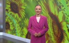 Эфир от 21.08.2026