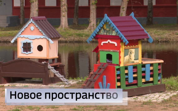 Эфир от 20.08.2026 (21:10)