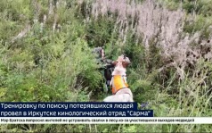 Четвероногие герои. Тренировочный поиск провел кинологический отряд «Сарма» в Иркутске