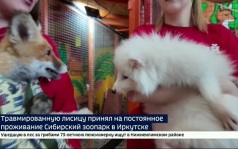 Лишилась лап и хвоста. В Сибирском зоопарке появился новый — особенный постоялец