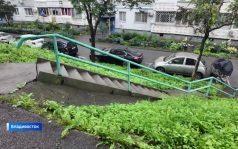 Активность ТОСов идет на пользу жителям кварталов Владивостока