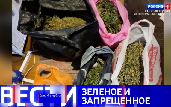 Эфир от 22.08.2026 (08:00)
