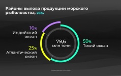 Мир в цифрах. Какие страны лидируют в мировом рыболовстве?