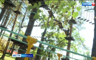Команда из Сочи строит в Хабаровске верёвочный парк в парке стадиона имени Ленина