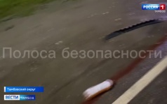 Два человека погибли в ДТП в Тамбовском округе