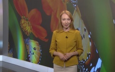 Эфир от 24.08.2026