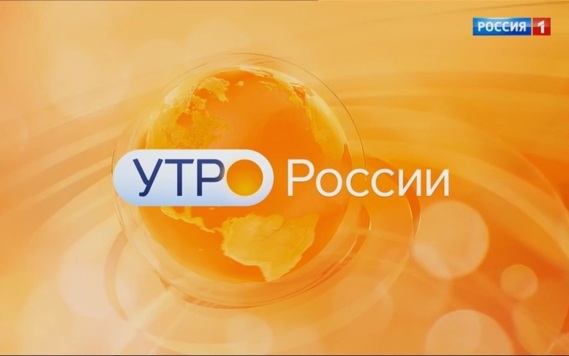 Екатерина Мамонова о консервации