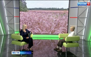 Не только выставка, а главная школа обмена опытом: очередной «День поля» прошёл в Хабаровском крае