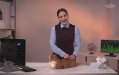 Физика. Кванты