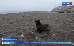 Эфир от 26 08 26 - 21 10