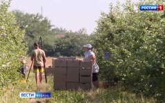 Эфир от 27.08.2026 (05:05)