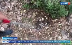 Пожар в заповеднике "Утриш" сократился