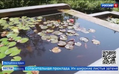 Эфир от 27.08.2026 (11:30)