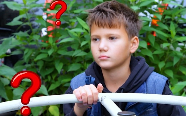 Когда на Земле появились комары?