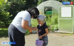 Дошколята из «Малютки» собрали первый урожай овощей из теплицы